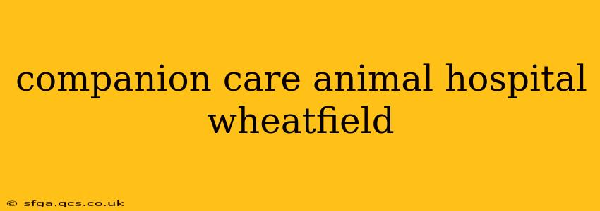 companion care animal hospital wheatfield