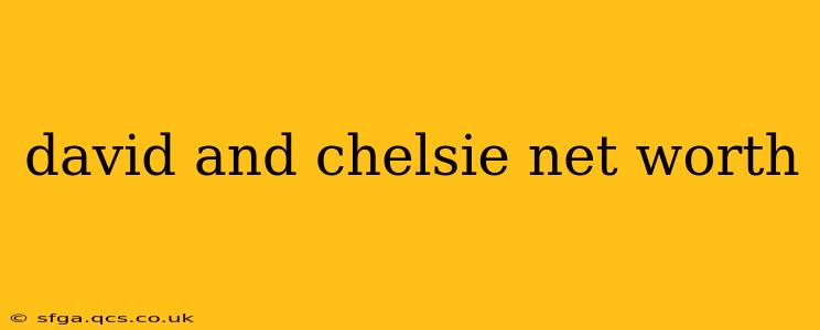 david and chelsie net worth