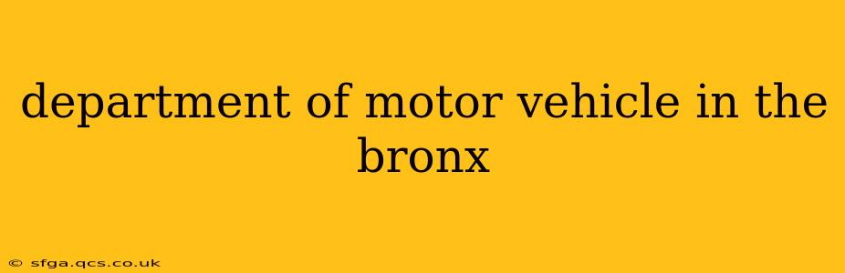 department of motor vehicle in the bronx