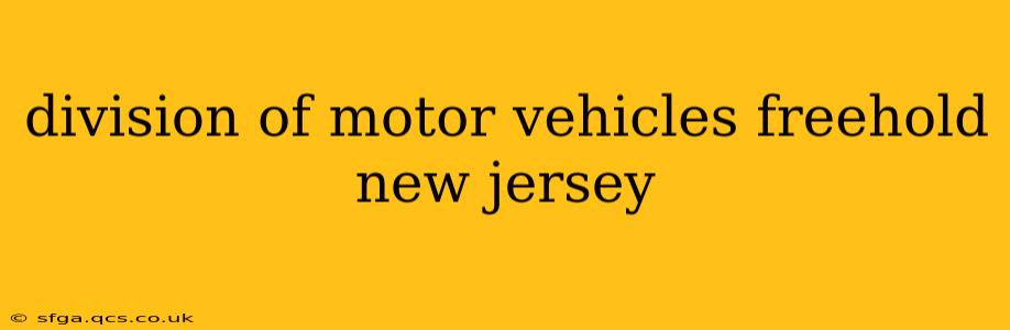 division of motor vehicles freehold new jersey