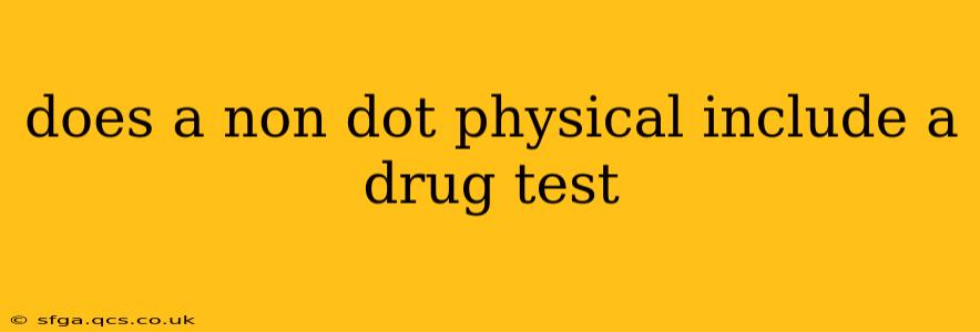 does a non dot physical include a drug test