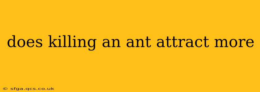 does killing an ant attract more