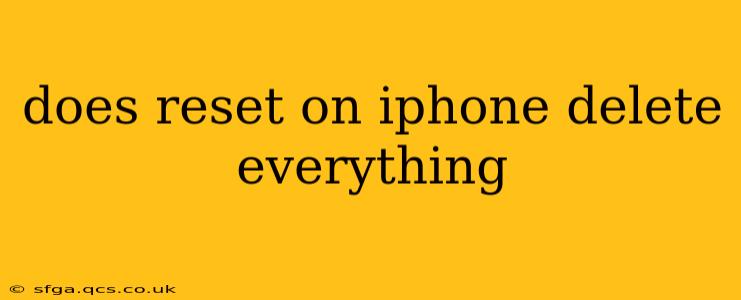 does reset on iphone delete everything