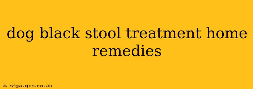 dog black stool treatment home remedies