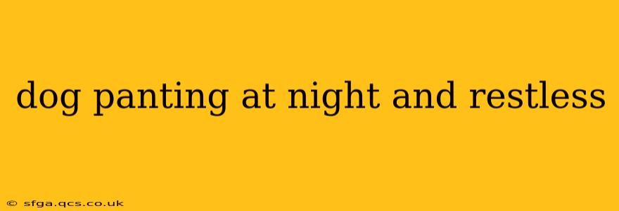 dog panting at night and restless