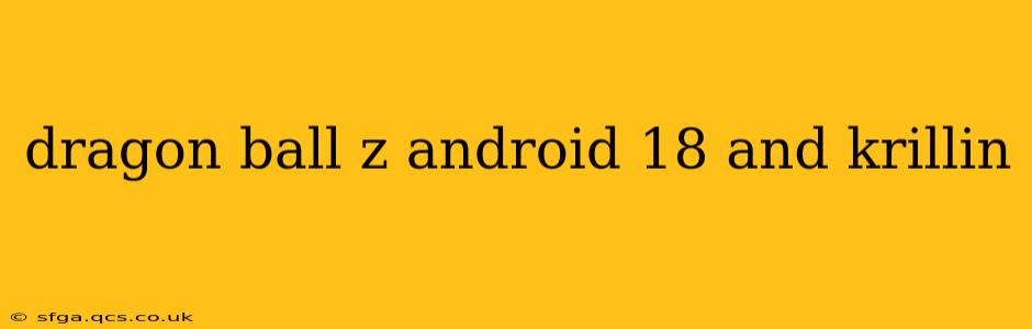 dragon ball z android 18 and krillin