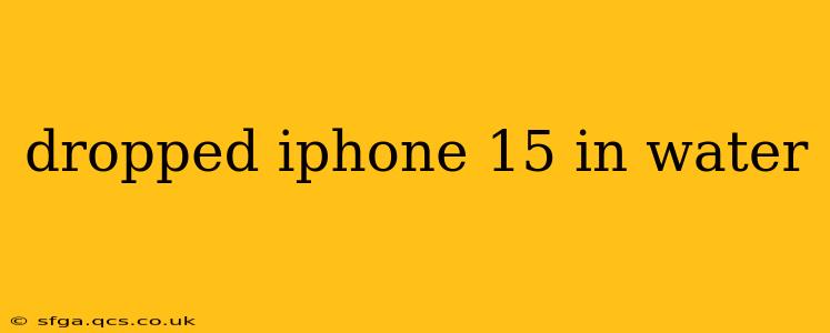 dropped iphone 15 in water
