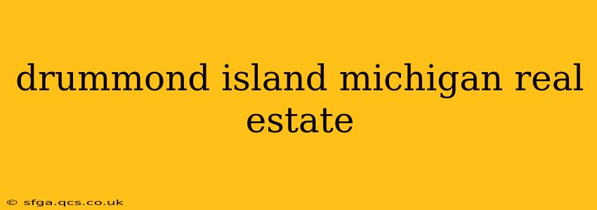 drummond island michigan real estate