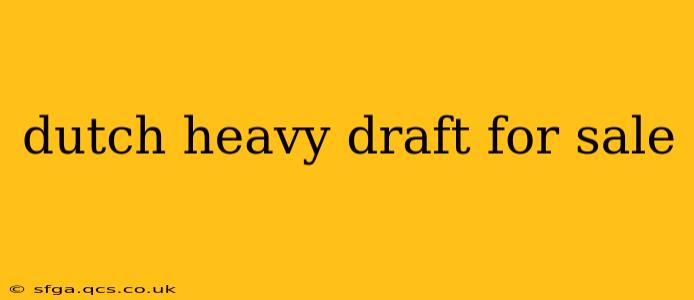 dutch heavy draft for sale