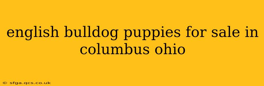 english bulldog puppies for sale in columbus ohio