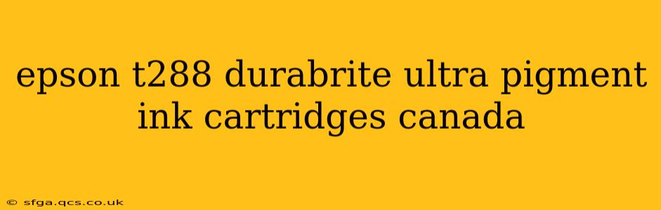 epson t288 durabrite ultra pigment ink cartridges canada