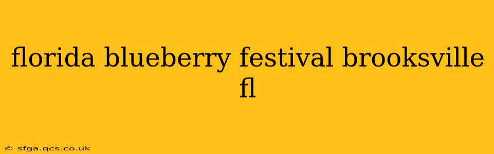 florida blueberry festival brooksville fl