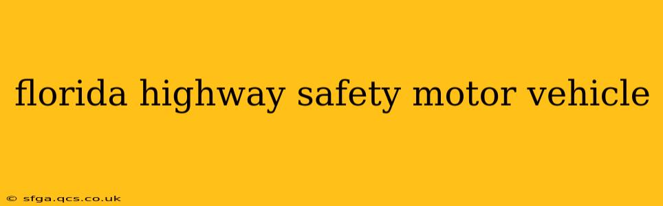 florida highway safety motor vehicle