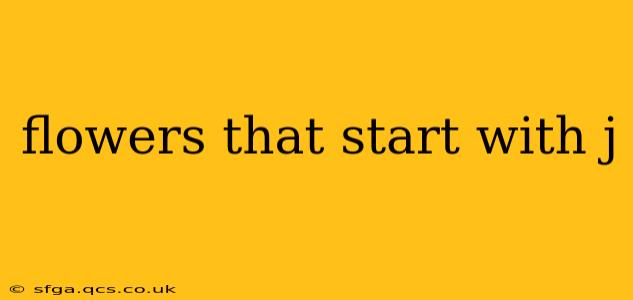flowers that start with j