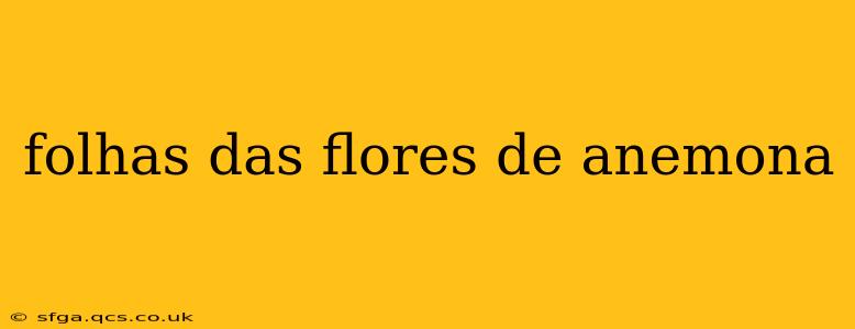 folhas das flores de anemona