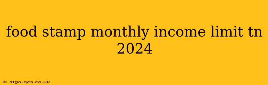 food stamp monthly income limit tn 2024