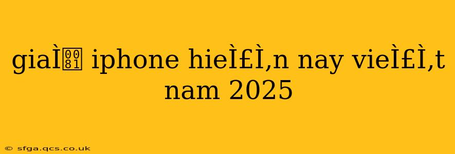 giaÌ iphone hieÌ£Ì‚n nay vieÌ£Ì‚t nam 2025