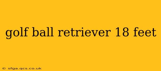 golf ball retriever 18 feet