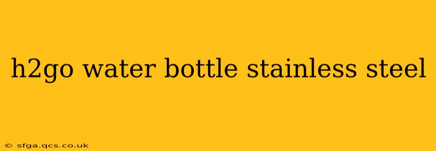 h2go water bottle stainless steel