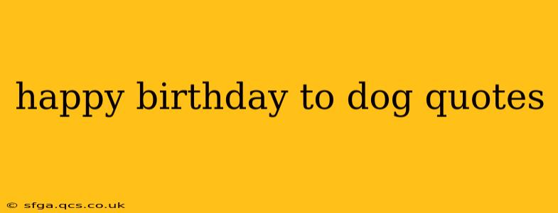 happy birthday to dog quotes