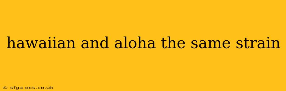 hawaiian and aloha the same strain