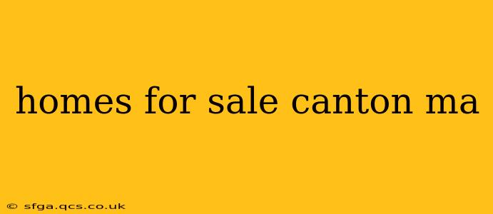 homes for sale canton ma