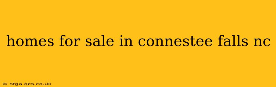 homes for sale in connestee falls nc