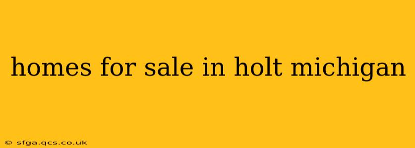 homes for sale in holt michigan