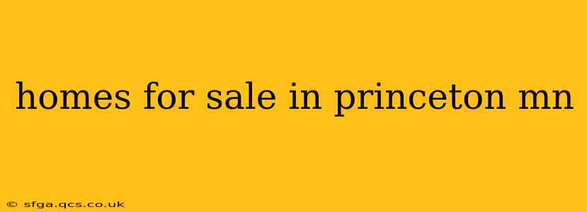 homes for sale in princeton mn