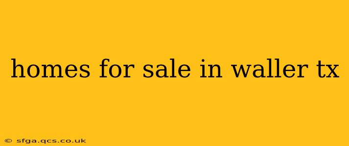 homes for sale in waller tx