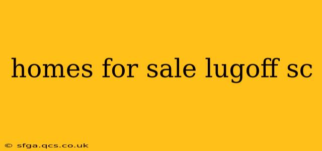 homes for sale lugoff sc