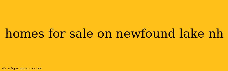 homes for sale on newfound lake nh