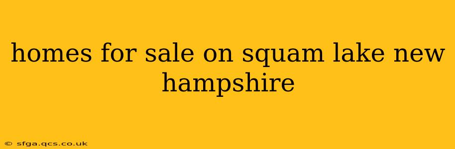 homes for sale on squam lake new hampshire