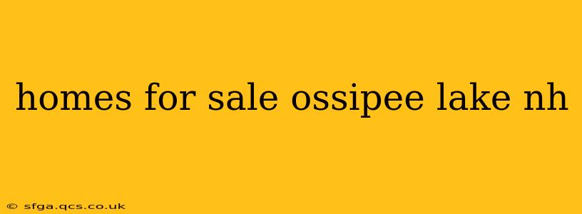 homes for sale ossipee lake nh