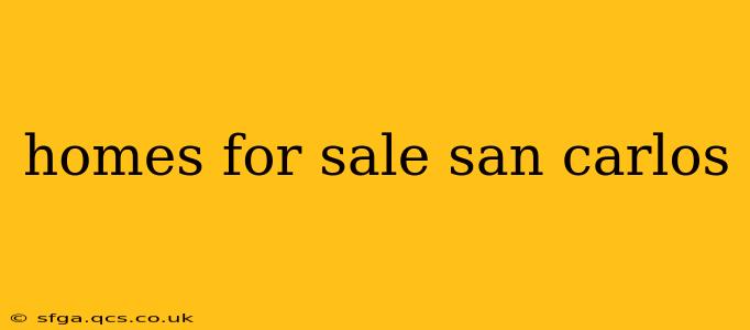 homes for sale san carlos