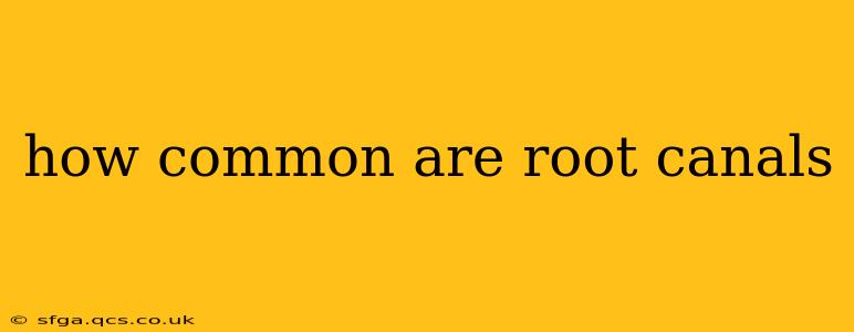 how common are root canals