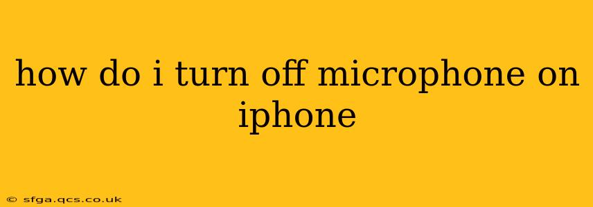 how do i turn off microphone on iphone