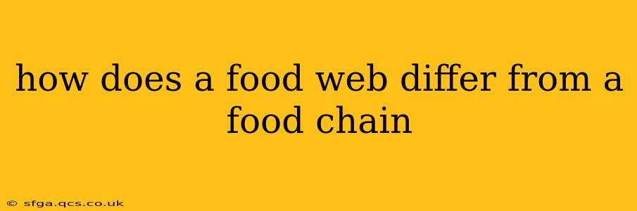 how does a food web differ from a food chain