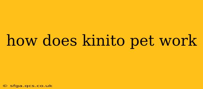 how does kinito pet work