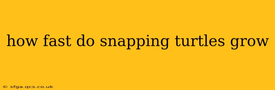 how fast do snapping turtles grow