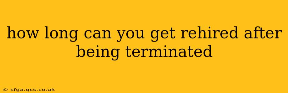 how long can you get rehired after being terminated