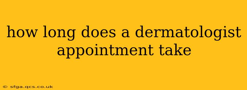 how long does a dermatologist appointment take