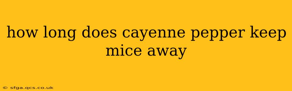 how long does cayenne pepper keep mice away