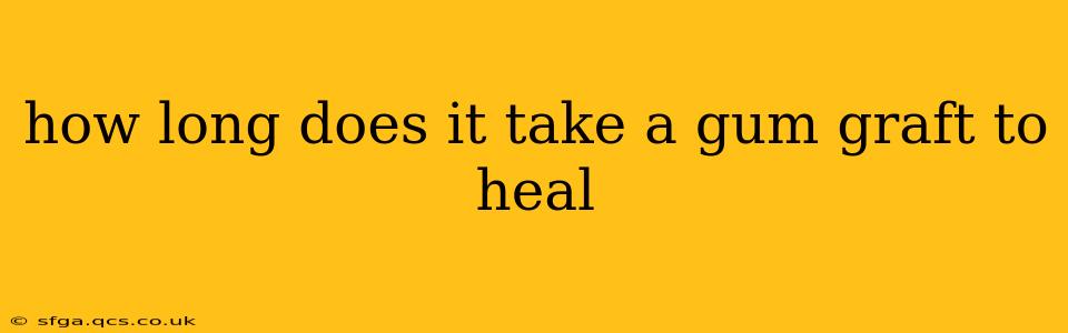 how long does it take a gum graft to heal