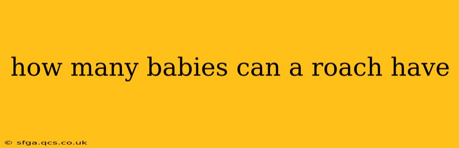 how many babies can a roach have