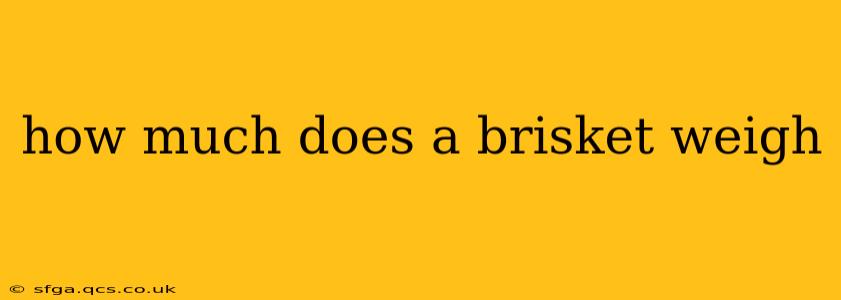 how much does a brisket weigh
