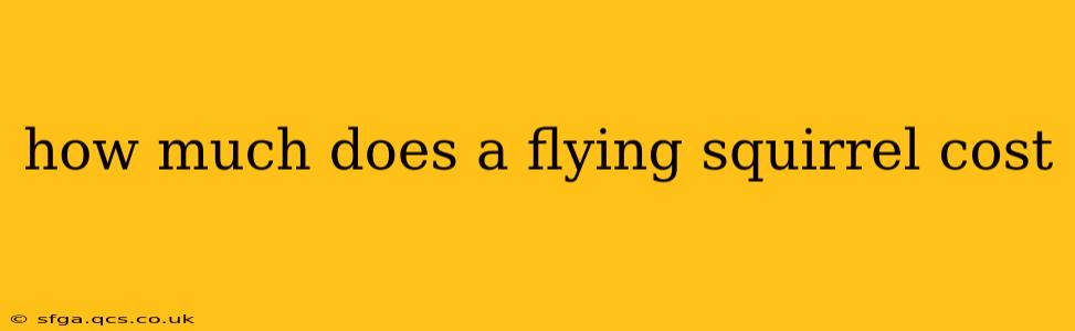 how much does a flying squirrel cost