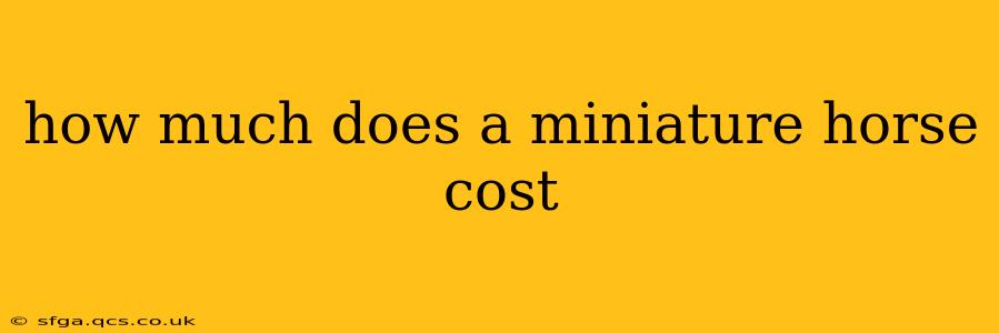 how much does a miniature horse cost