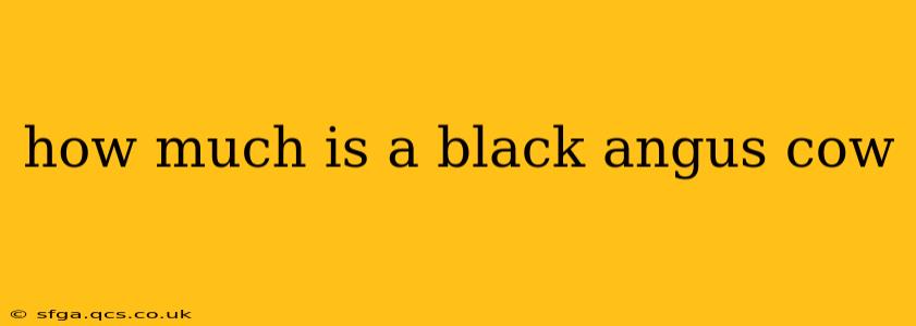 how much is a black angus cow