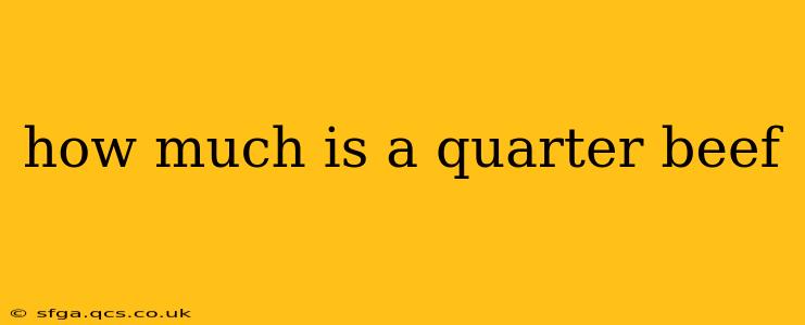 how much is a quarter beef